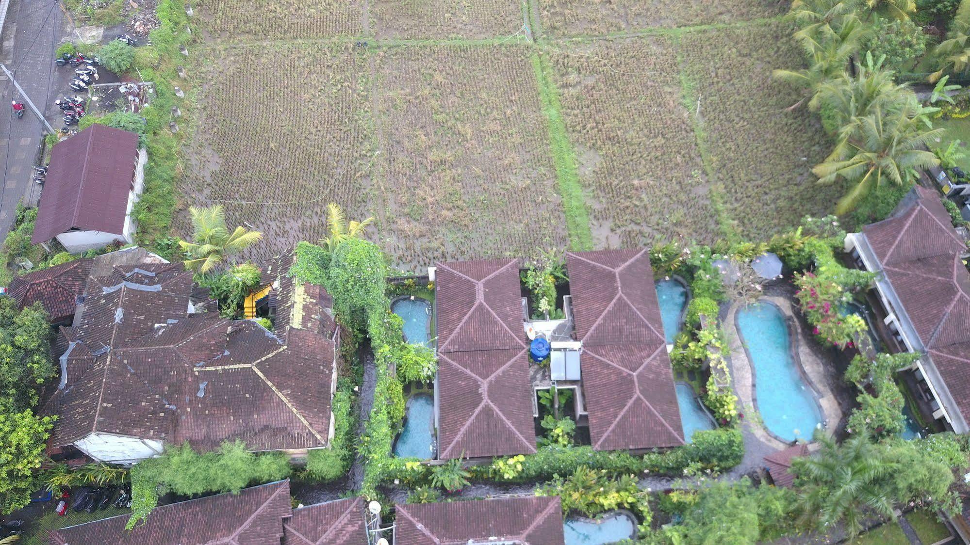 Ladera Villa Ubud Eksteriør billede