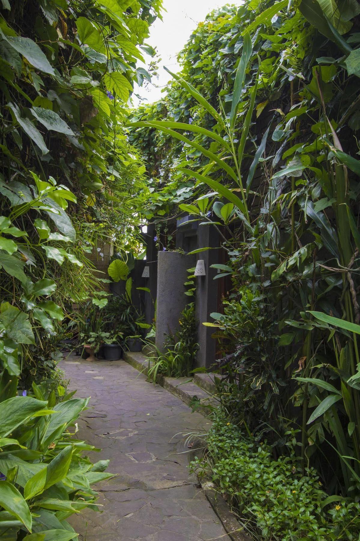 Ladera Villa Ubud Eksteriør billede