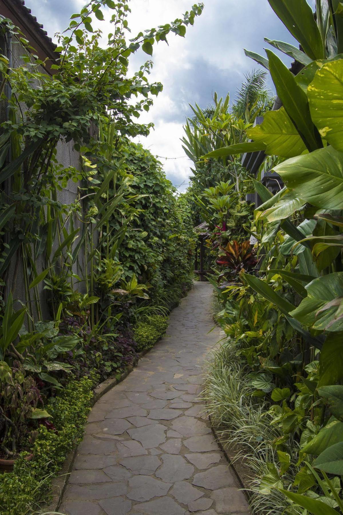 Ladera Villa Ubud Eksteriør billede