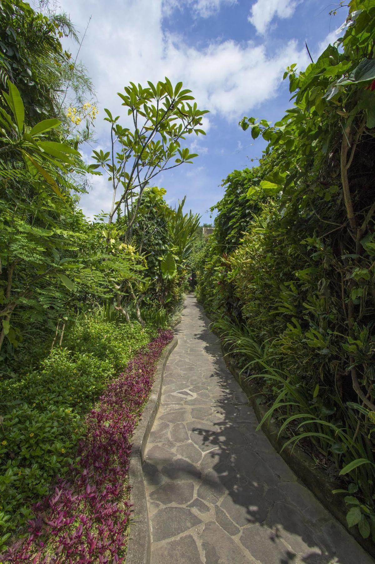 Ladera Villa Ubud Eksteriør billede